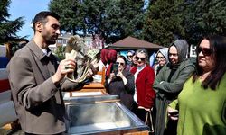 Tarımsal Atıklar Sanata Dönüştü