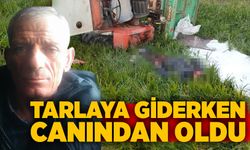 Tarlaya giderken canından oldu