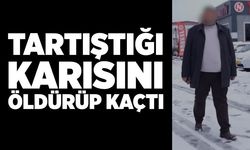 Tartıştığı karısını öldürüp kaçtı