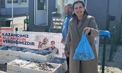 Edirne'de 350 kilogram hamsi dağıtıldı