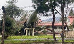 Üzerine ağaç düşen uçak zarar gördü