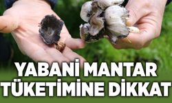 Bahar geldi, risk arttı: Yabani mantar tüketimine dikkat
