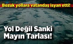 Yol Değil Sanki Mayın Tarlası! Alaplı’da Vatandaş İsyanda