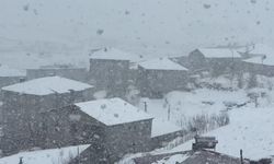 Yüksekova'ya kış geri geldi