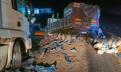 Gübre yüklü tır devrildi: Tonlarca yük yola saçıldı