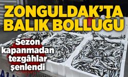 Zonguldak’ta balık bolluğu: Sezon kapanmadan tezgâhlar şenlendi