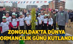 Zonguldak’ta Dünya Ormancılık Günü kutlandı