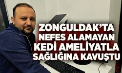 Zonguldak’ta nefes alamayan kedi ameliyatla sağlığına kavuştu