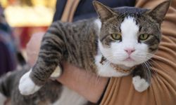 Çarşının 10 kiloluk Prens'i