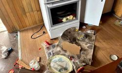 Kış uykusu bitti, ayı istilası başladı