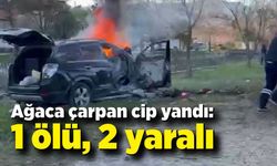 Ağaca çarpan cip yandı: 1 ölü, 2 yaralı
