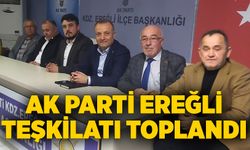 AK Parti Ereğli Teşkilatı Toplandı