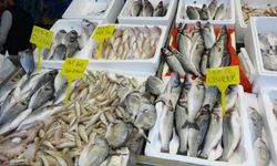 Akdeniz'de av yasağı başlıyor