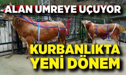 Kurbanlık Alan Umreye Gidiyor: Kampanya Şaşırttı