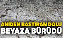 Aniden bastıran dolu beyaza bürüdü