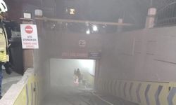 Park halindeki araçta yangın çıktı