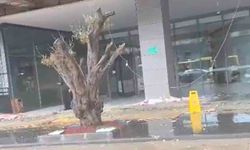 Sağanak sele neden odu, AVM girişinde tavan çöktü