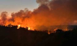 Beykoz'da 3 hektarlık alan küle döndü: Yangına müdahale devam ediyor