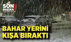 Bahar yerini kışa bıraktı: Kar yağışı kenti beyaza bürüdü