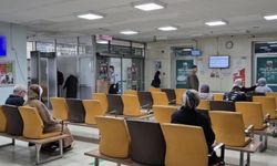 Baharla birlikte gelen kabus; geceleri uyutmuyor