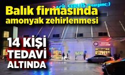 Balık firmasında amonyak zehirlenmesi: 14 kişi hastaneye kaldırıldı