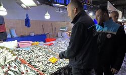 Balık tezgahları mercek altında