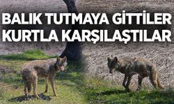 Balık tutmaya gittiler, kurtla karşılaştılar