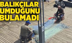 Balıkçılar umduğunu bulamadı