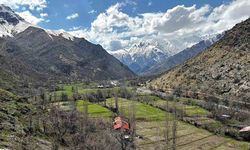 Cevizli köyü sakinlerinden yol talebi