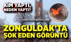 Zonguldak’ta Tepki Çeken Olay! Direğe Manken Astılar