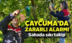 Çaycuma’da kokarca seferberliği