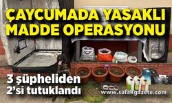 Çaycuma’da Yasaklı Madde Operasyonu: 2 Kişi Tutuklandı