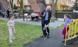 Sokaktan sahiplenildi, evin çocuğu gibi oldu