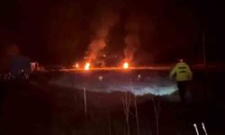 Çiftçiler meyve ağaçlarını ateş yakarak koruyor