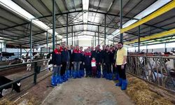 Çiftçiye yeni eğitim modeli: DERİM sahada