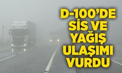 D-100’de sis ve yağış ulaşımı vurdu