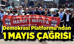Demokrasi Platformu’ndan 1 Mayıs Çağrısı