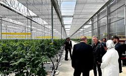 Düzce heyeti Çaycuma OTB’de seracılığı inceledi