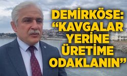 Demirköse: “Kavgalar yerine üretime odaklanın”