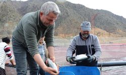 Denizi olmayan Erzurum'da yılda 300 tona yakın balık üretiyorlar