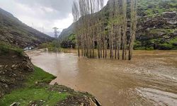 Sel vurdu: Derecik-Şemdinli yolu ulaşıma kapandı