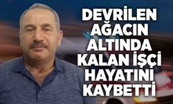 Devrilen ağacın altında kalan işçi hayatını kaybetti