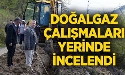 Doğalgaz çalışmaları yerinde incelendi
