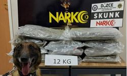 İstanbul’dan Ankara’ya uyuşturucu götürüyordu, Düzce’de yakalandı