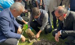 Düzce'de Devlet Bahçeli Hatıra Ormanı'na fidan dikildi