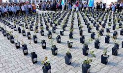 Eflani ilçesinde 400 öğrenciye gül fidanı dağıtılarak dikimi etkinlikleri gerçekleştirildi