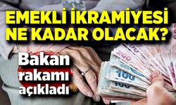 Emekli ikramiyesi ne kadar olacak? Bakan açıkladı