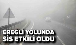 Ereğli yolunda sis etkili oldu: Sürücüler zor anlar yaşadı