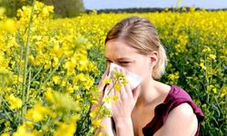 Uzmanından uyarı: "Gebeyken polen alerjisi tedavisine başlanmamalı"