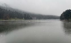 Gölcük’te kar yağışı ve sis etkili oldu